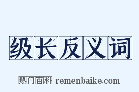 级长反义词是什么意思的图片